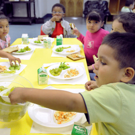 Providing education and financial reimbursement for daycare providers to ensure children have healthy meals.